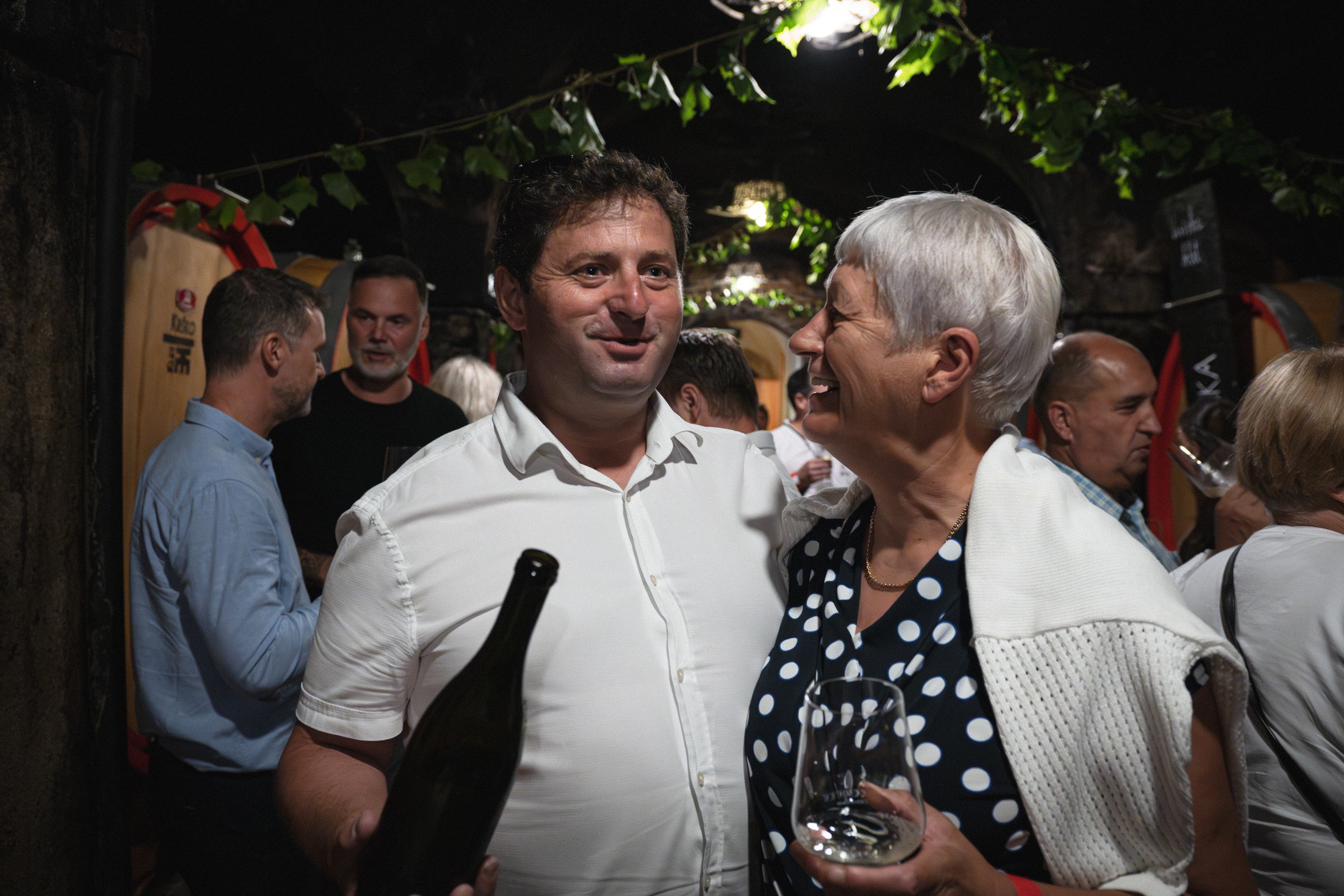 Best Wines of Posavje 2024-10