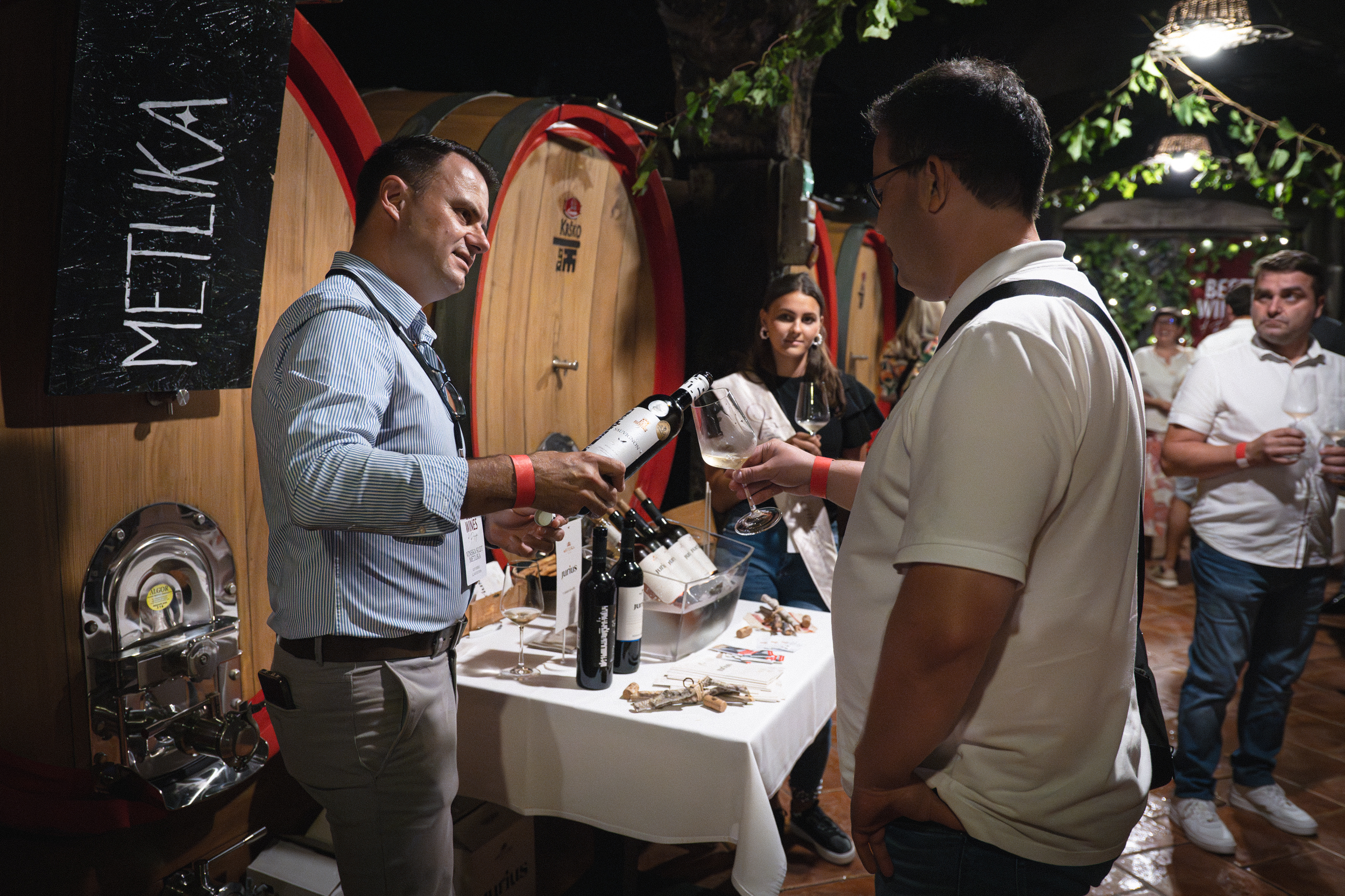 Best Wines of Posavje 2024-2