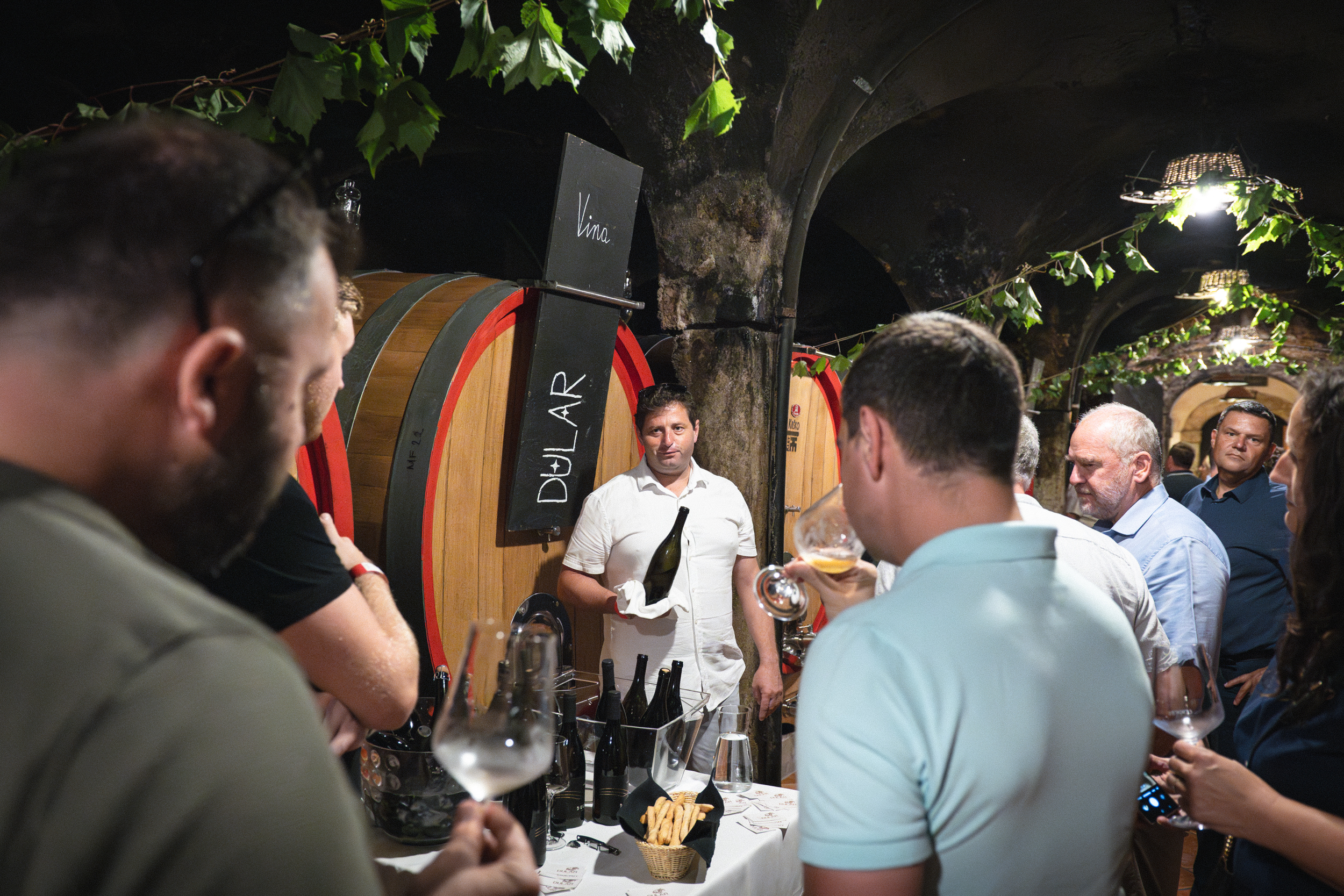 Best Wines of Posavje 2024-27